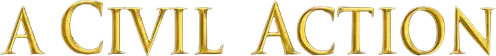 A Civil Action