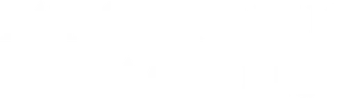 My Octopus Teacher