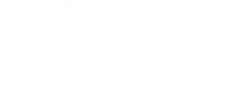 The Painter