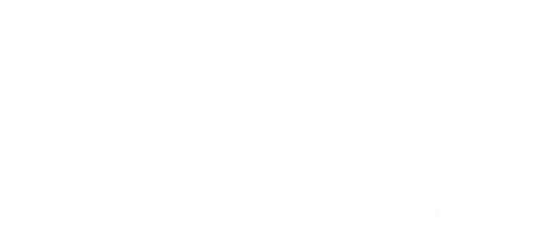 The Way We Live Now
