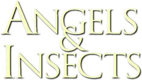 Des anges et des insectes