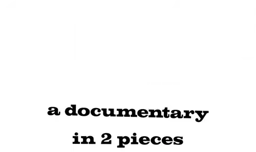 STEVE! (martin): un documentario in 2 parti