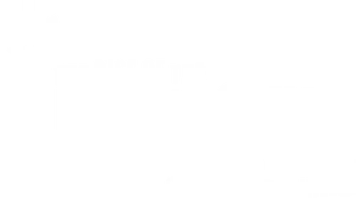 The Rise of the Red Hot Chili Peppers: Our Brother, Hillel