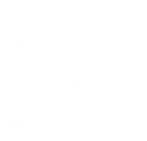 The Beach Boys, el documental