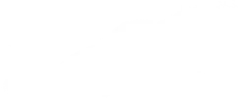 Catfish
