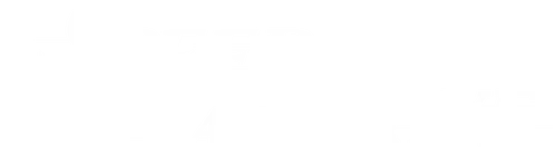 双轨