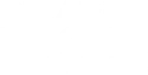 Bizarre Foods with Andrew Zimmern