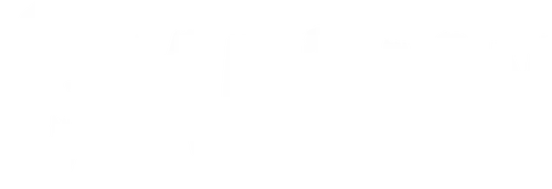 Şampiyon