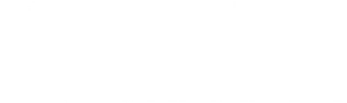 El fundamentalista reticente
