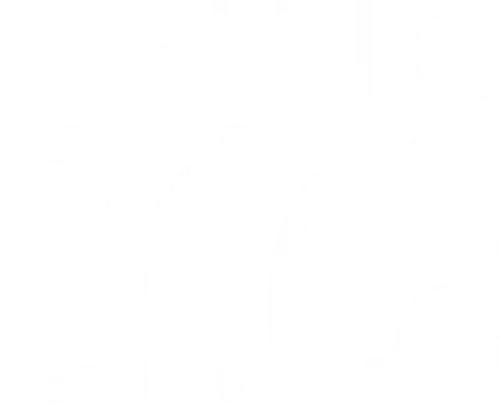 Being Erica