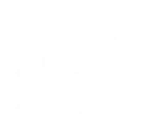 Year of the Rabbit