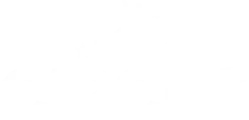 The Circus