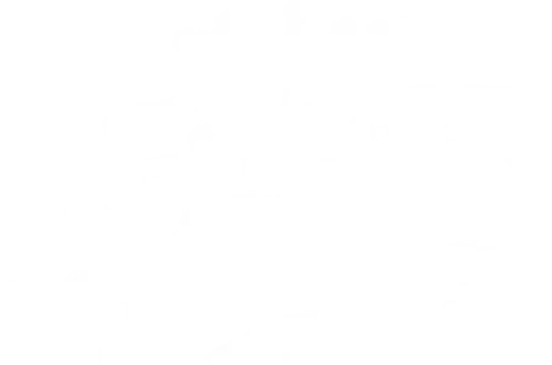 El rey pescador