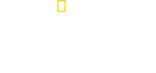 Welcome to Earth
