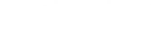 The Killing of Kenneth Chamberlain