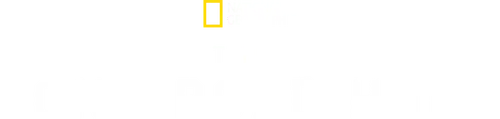 The Long Road Home
