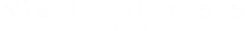 NieR:Automata Ver1.1a