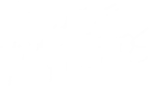 We Are Your Friends