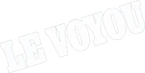 Le Voyou