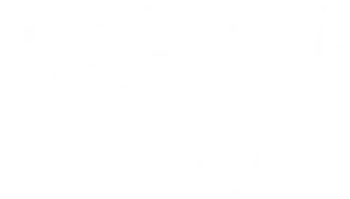 X+Y