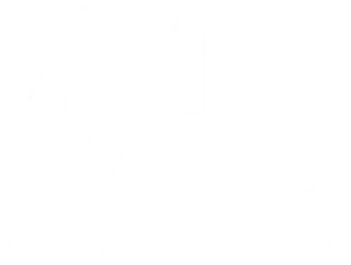 Жить своей жизнью