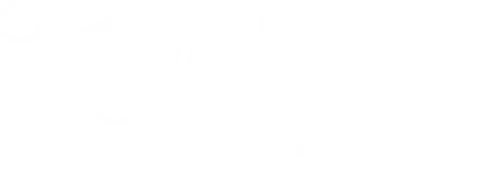 Holiday Harmony