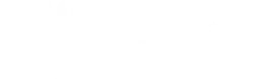 Wasp Network