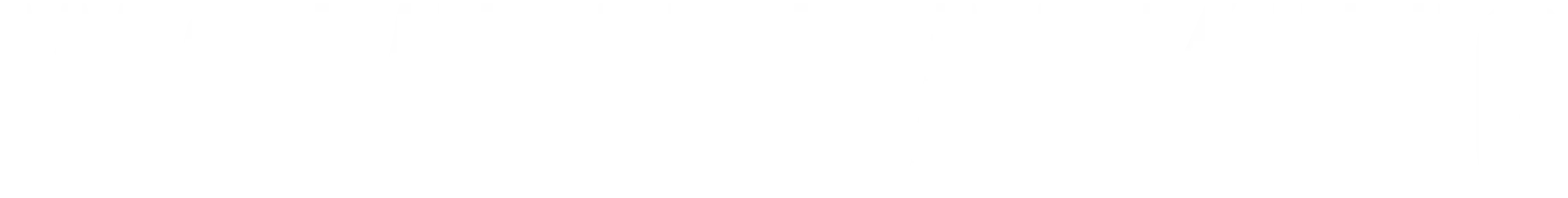 Die Aussprache