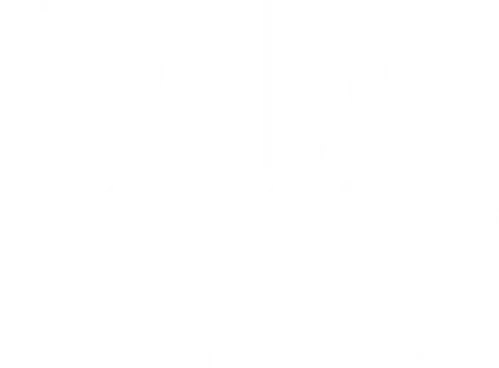 Bye Bye Morons