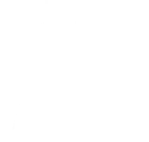 NCIS : Tony & Ziva