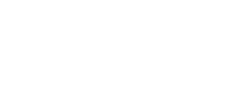 Tehlikeli Aslar