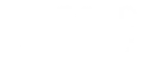 The Good Detective