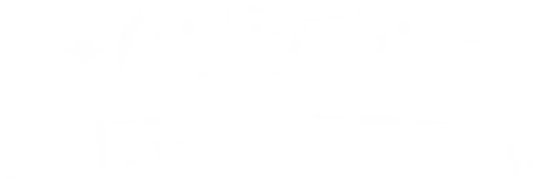 Un festival pour Noël