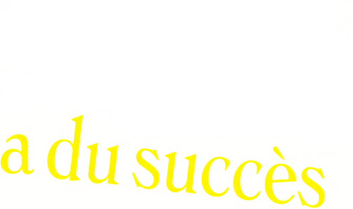 Youssef Salem a du succès