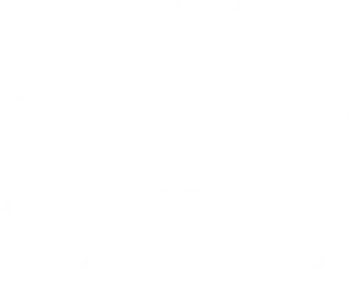 Ein Mann namens Otto
