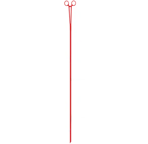 Sin senos sí hay paraíso