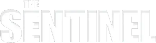 The Sentinel - Il traditore al tuo fianco