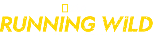 Bear Grylls - Stars am Limit
