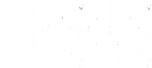 La pelle