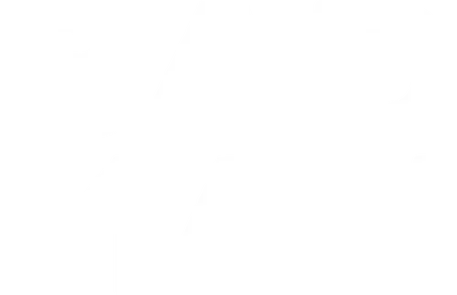 Bad Cop