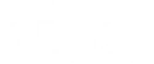 The Guest