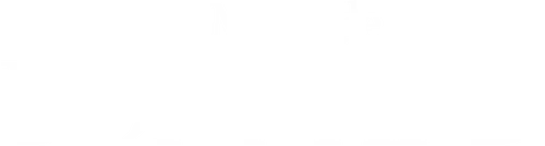 A Musa de Bonnard