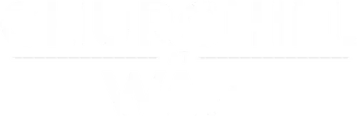 Churchill at War