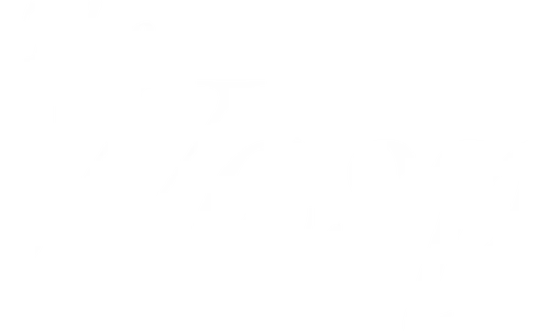 Yaban Arısı