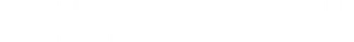 Директор