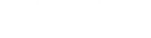 Um Dia de Cão