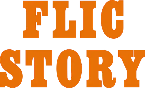Flic Story