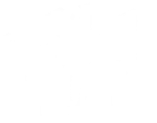 Tout simplement noir