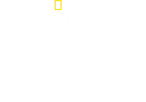 Drugs, Inc.