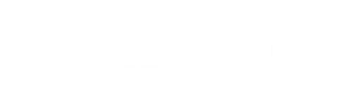 The Kid